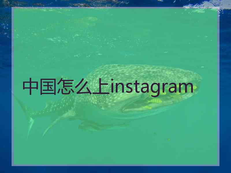 中国怎么上instagram