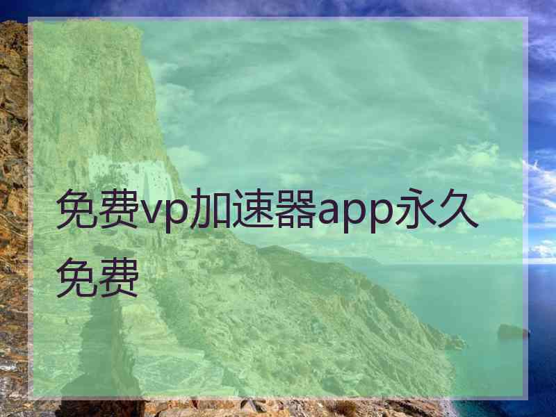 免费vp加速器app永久免费