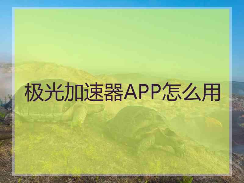 极光加速器APP怎么用