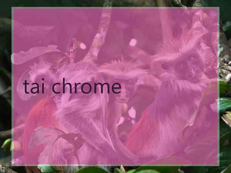 tai chrome