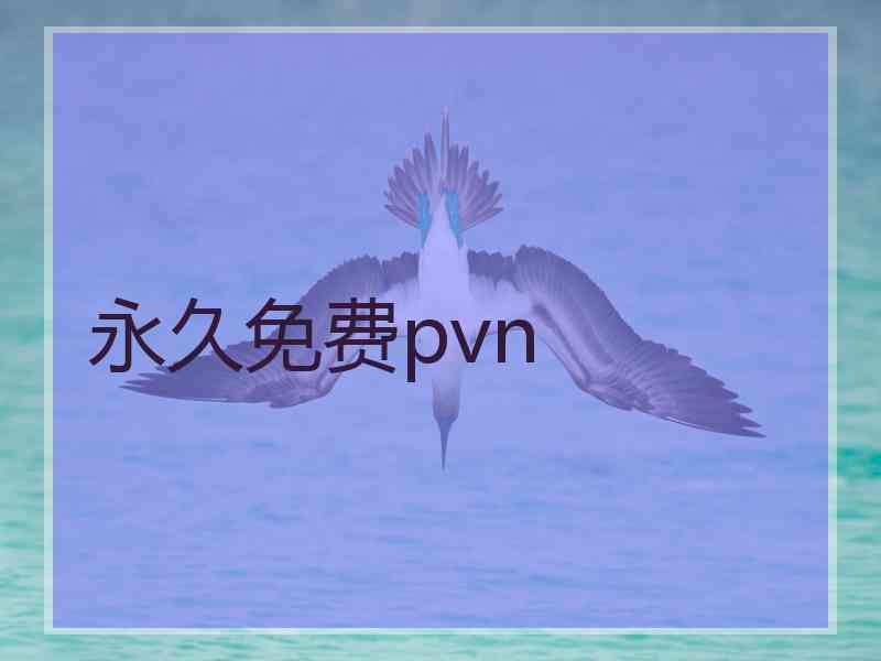 永久免费pvn