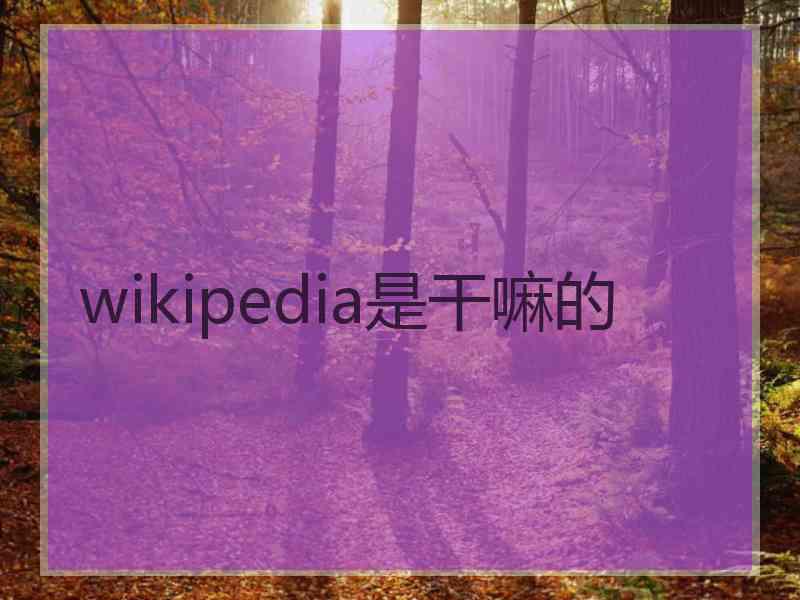 wikipedia是干嘛的