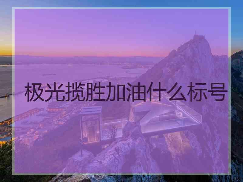 极光揽胜加油什么标号