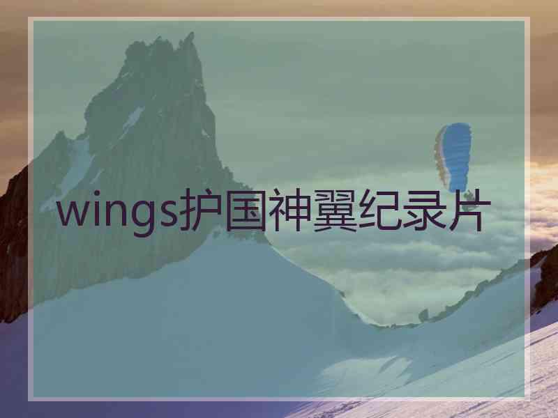 wings护国神翼纪录片