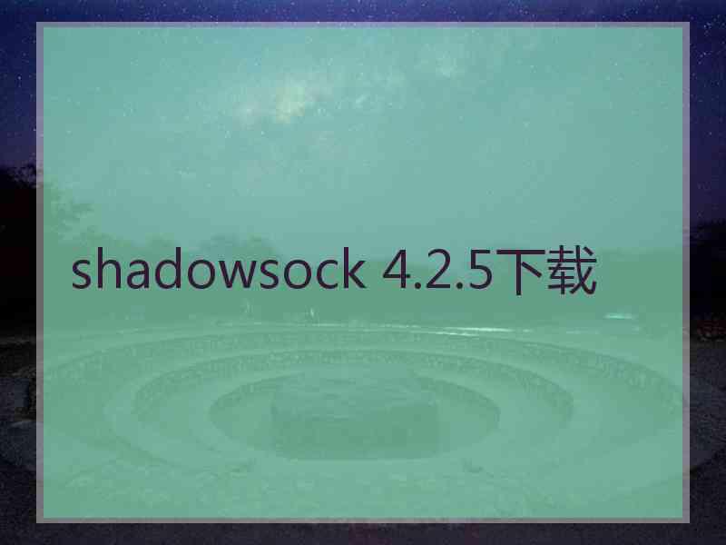 shadowsock 4.2.5下载