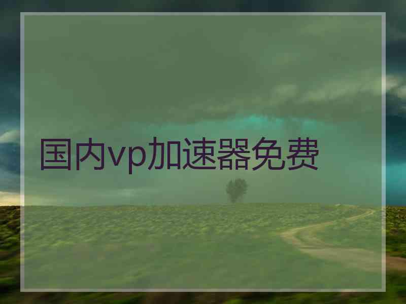 国内vp加速器免费