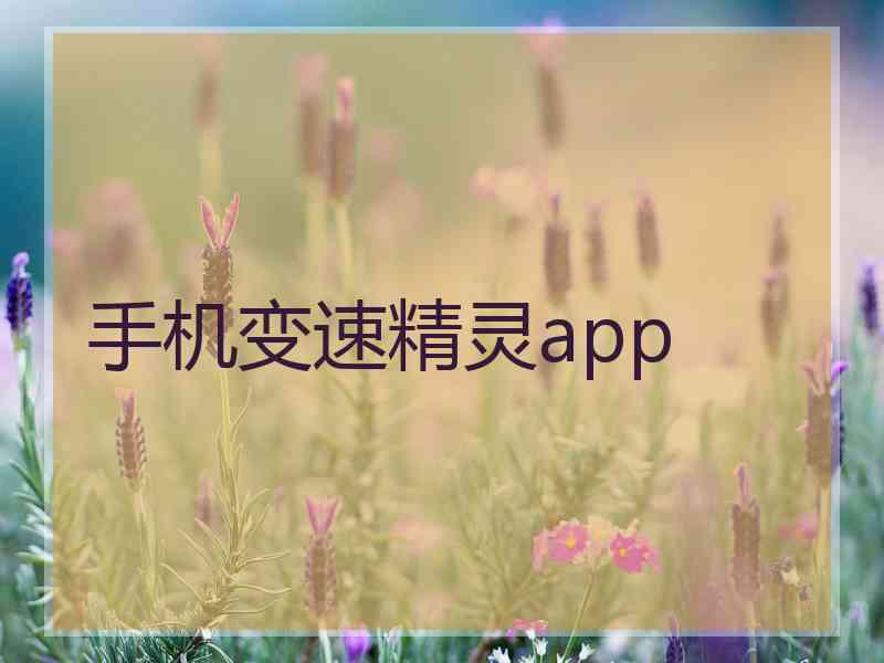 手机变速精灵app