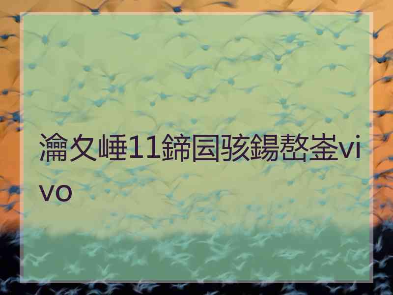 瀹夊崜11鍗囩骇鍚嶅崟vivo