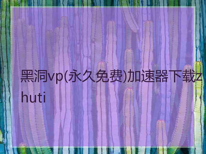 黑洞vp(永久免费)加速器下载zhuti