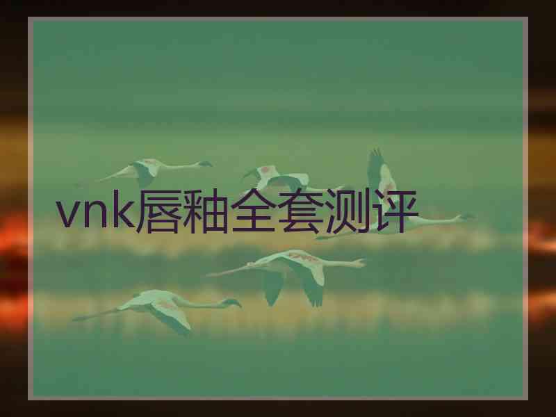 vnk唇釉全套测评