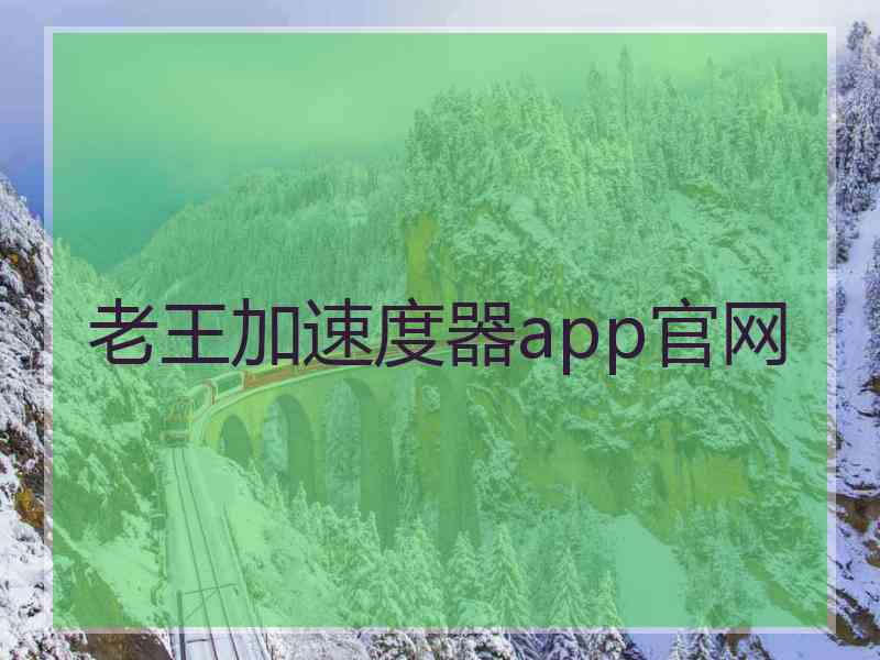 老王加速度器app官网