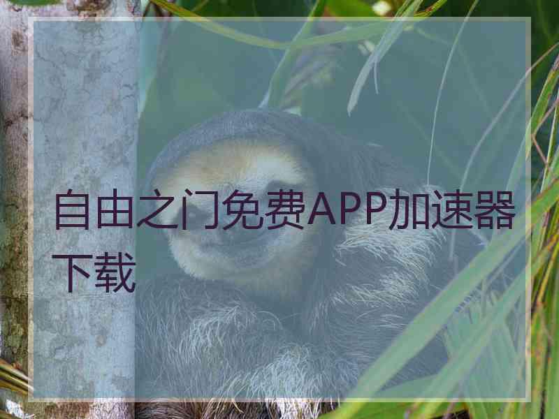 自由之门免费APP加速器下载