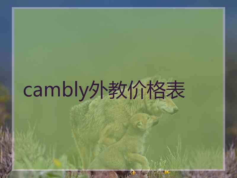 cambly外教价格表