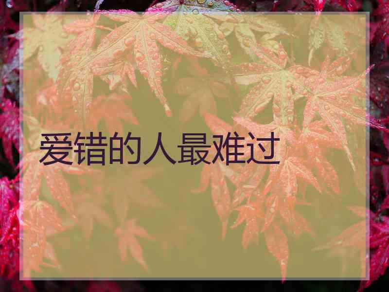 爱错的人最难过