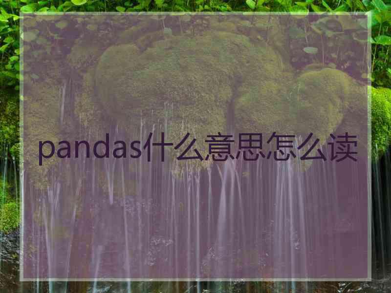 pandas什么意思怎么读