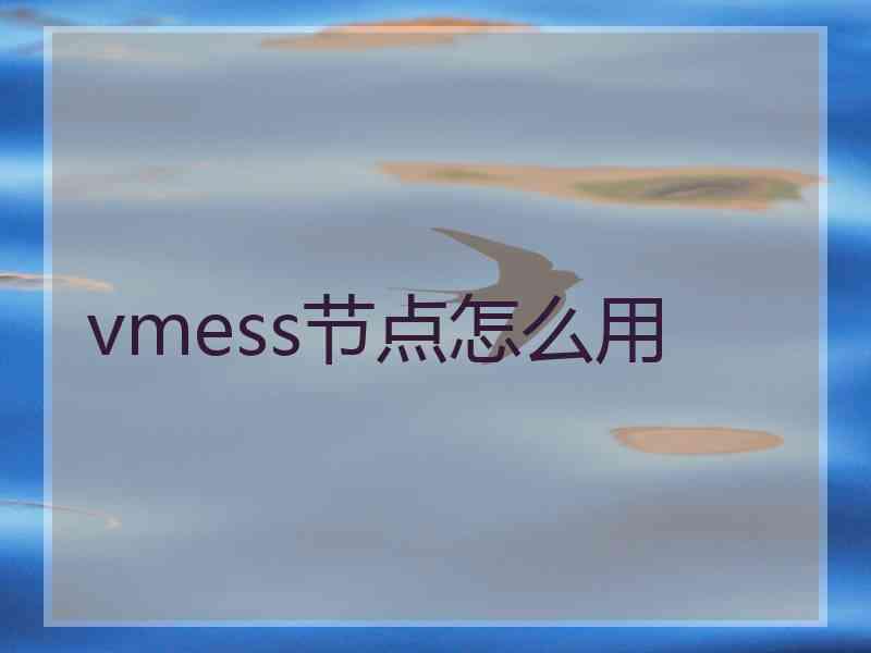 vmess节点怎么用