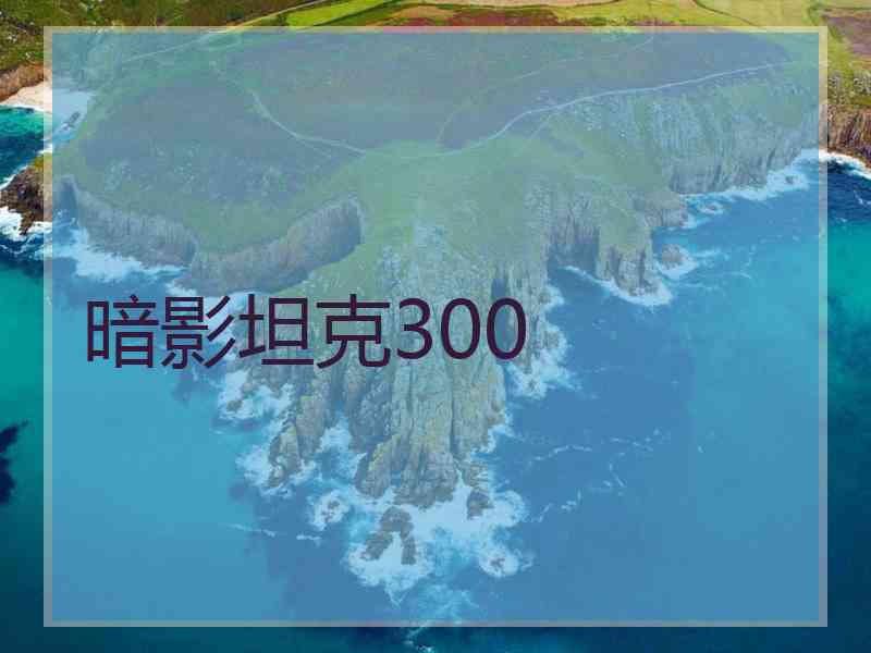 暗影坦克300