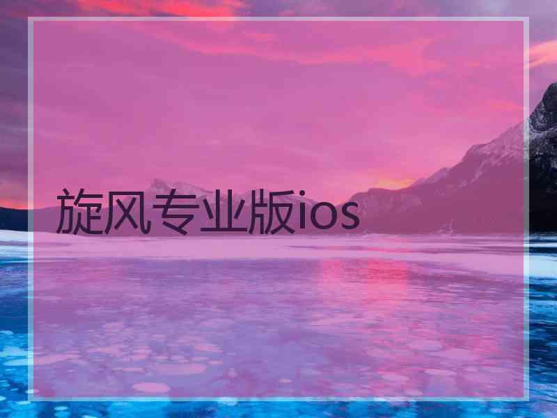 旋风专业版ios