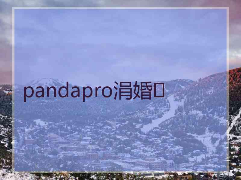 pandapro涓婚