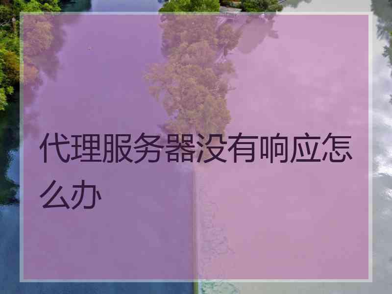 代理服务器没有响应怎么办