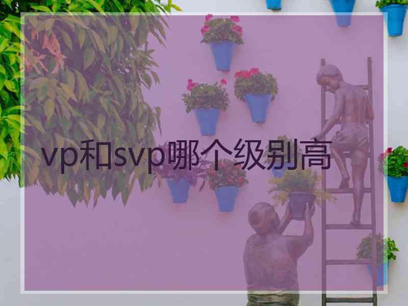 vp和svp哪个级别高