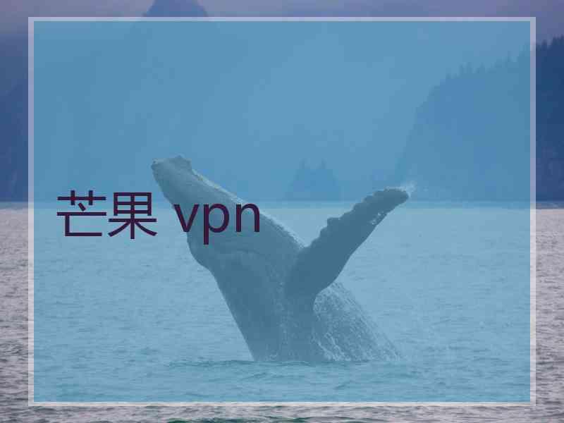 芒果 vpn