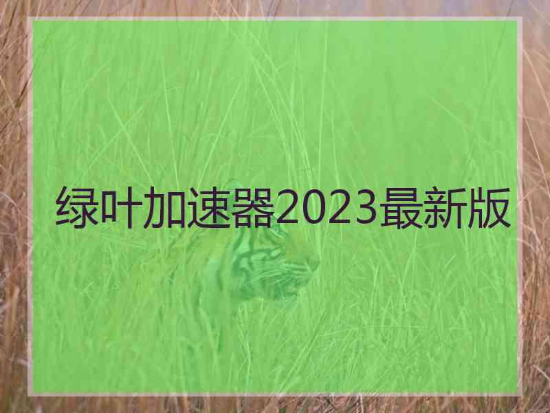 绿叶加速器2023最新版