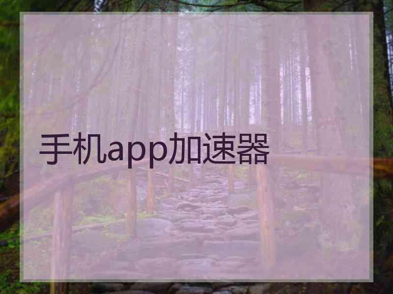 手机app加速器