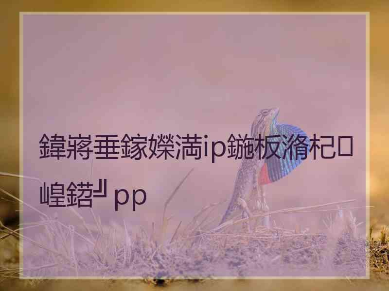 鍏嶈垂鎵嬫満ip鍦板潃杞崲鍣╝pp