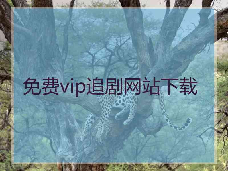 免费vip追剧网站下载