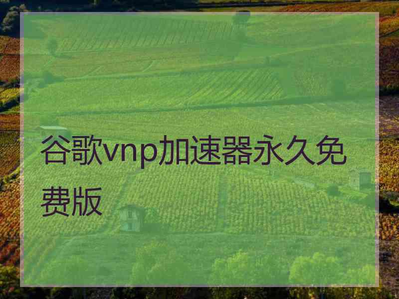 谷歌vnp加速器永久免费版