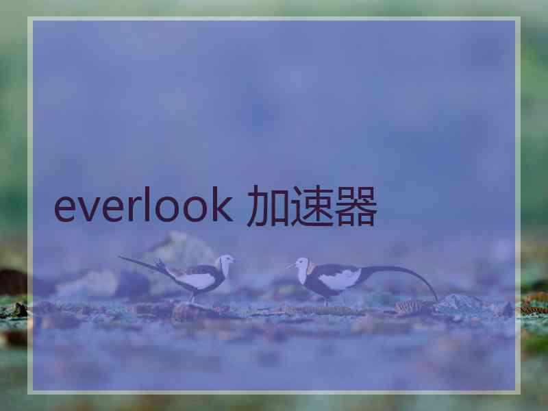 everlook 加速器