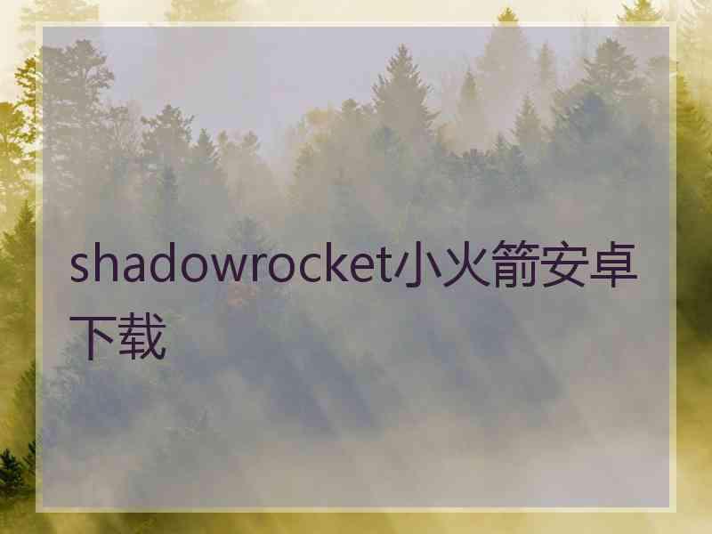 shadowrocket小火箭安卓下载