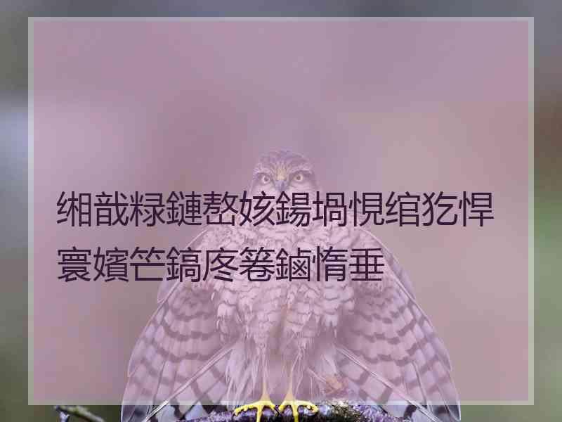 缃戠粶鏈嶅姟鍚堝悓绾犵悍寰嬪笀鎬庝箞鏀惰垂