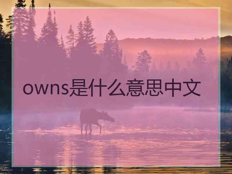 owns是什么意思中文