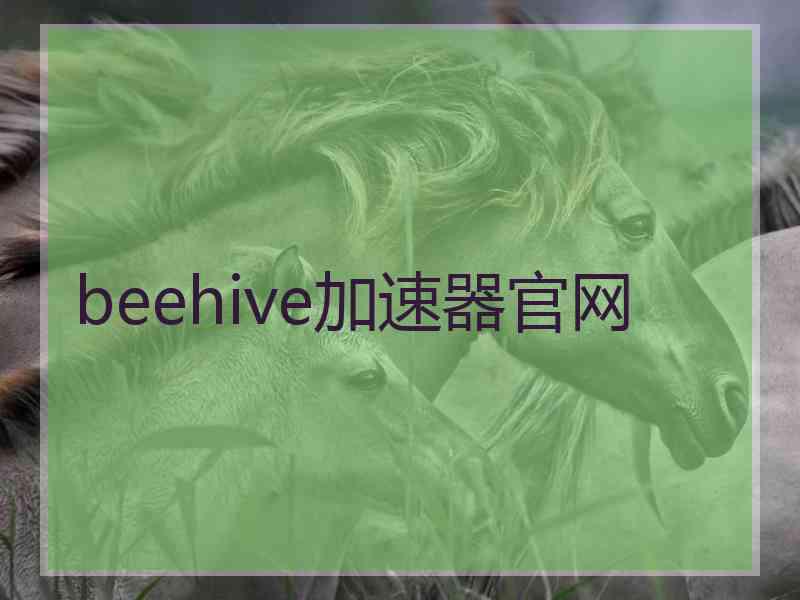 beehive加速器官网