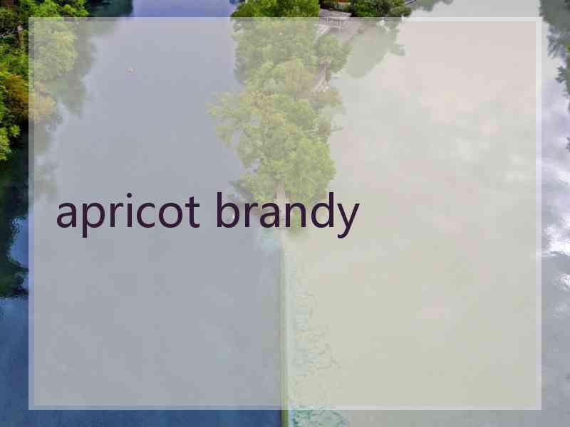 apricot brandy