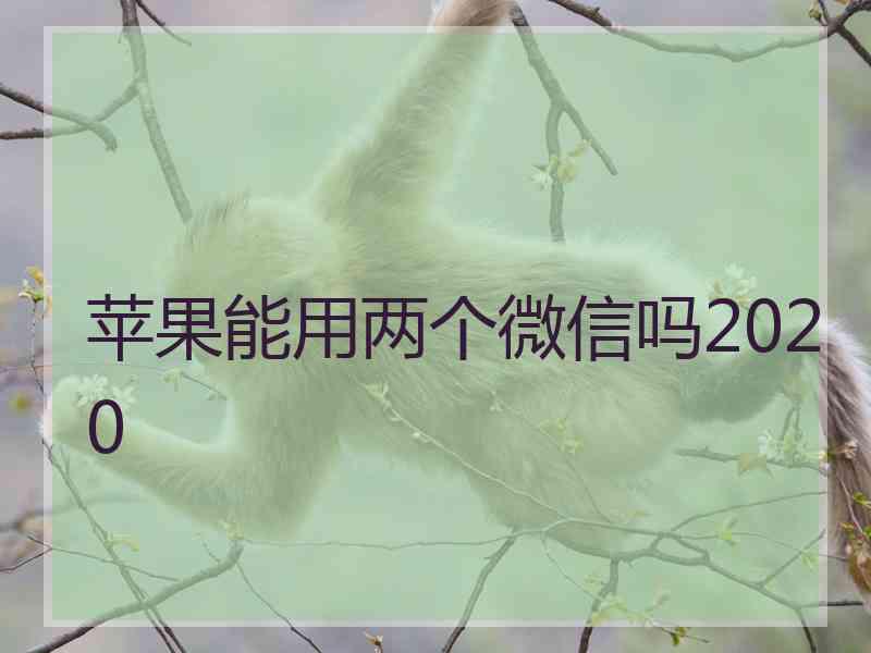 苹果能用两个微信吗2020