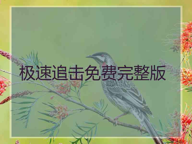 极速追击免费完整版