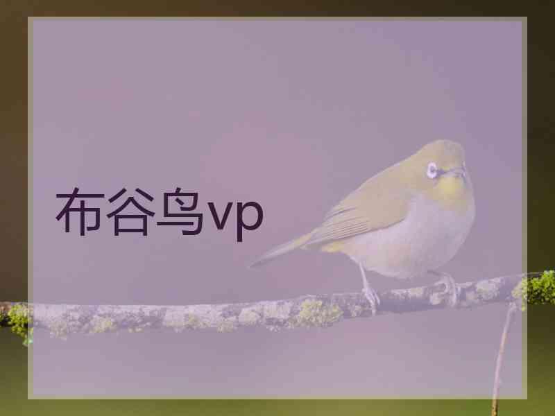 布谷鸟vp