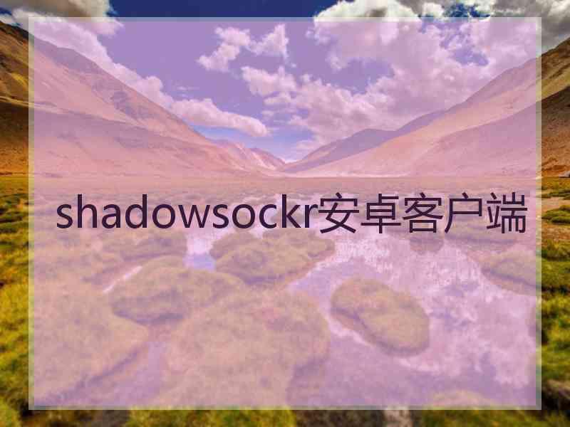 shadowsockr安卓客户端