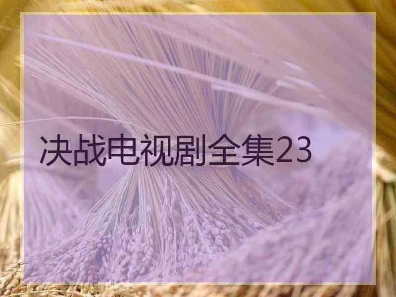 决战电视剧全集23