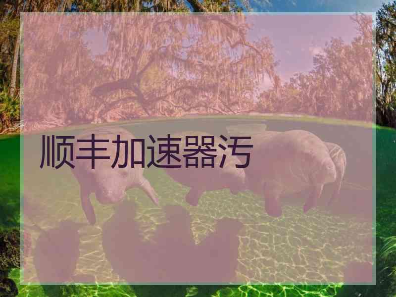 顺丰加速器汚