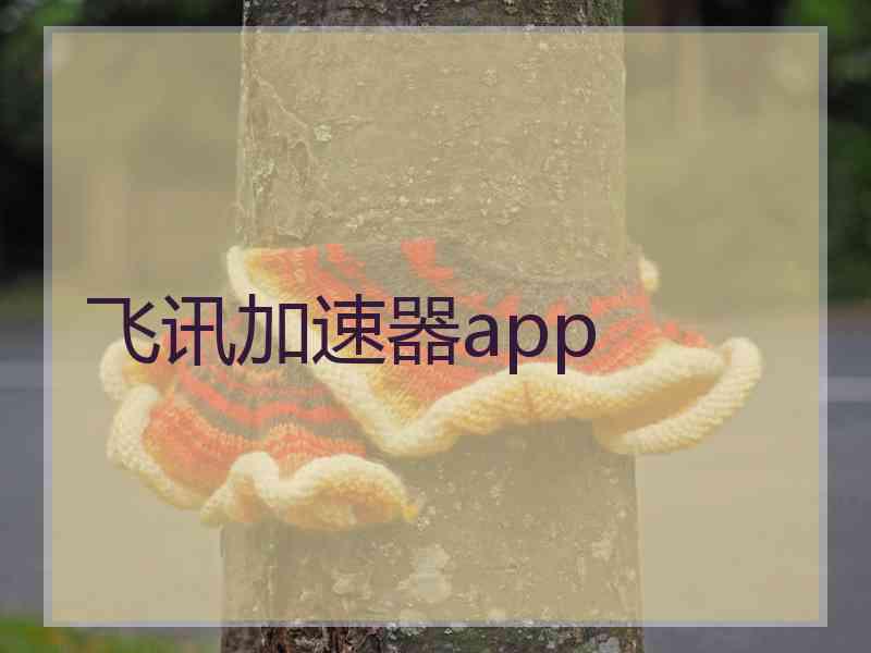 飞讯加速器app