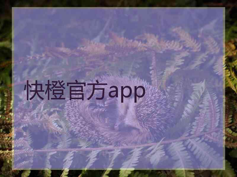 快橙官方app