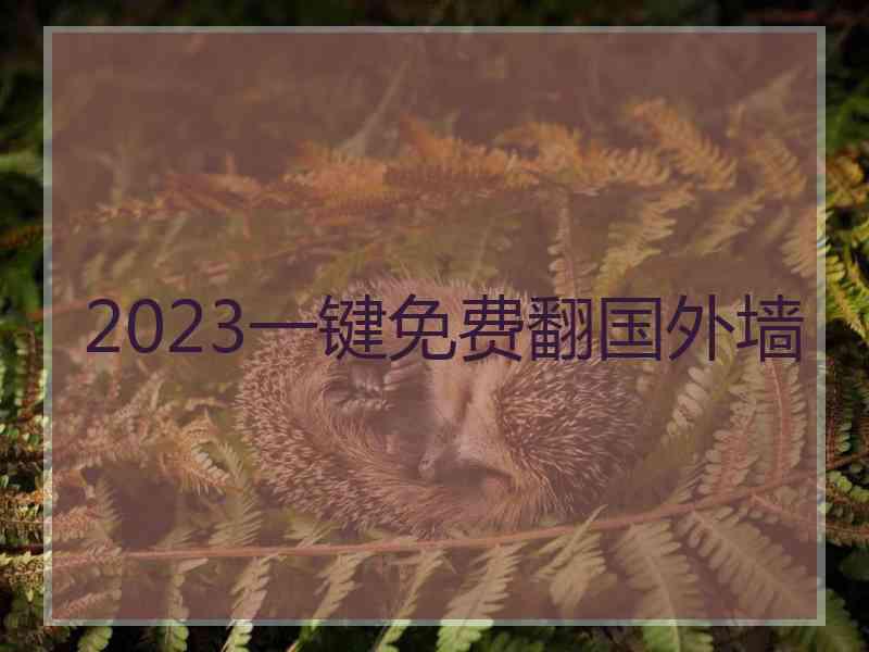 2023一键免费翻国外墙