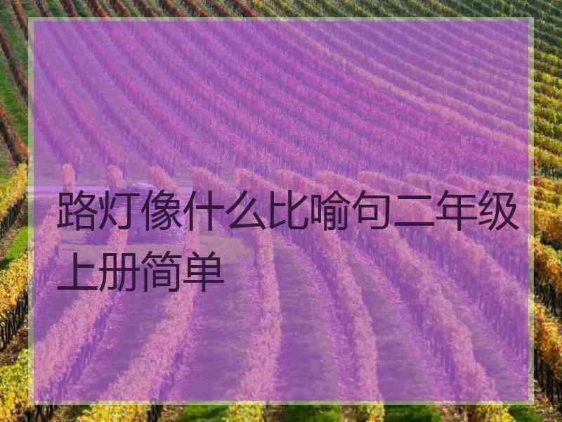 路灯像什么比喻句二年级上册简单