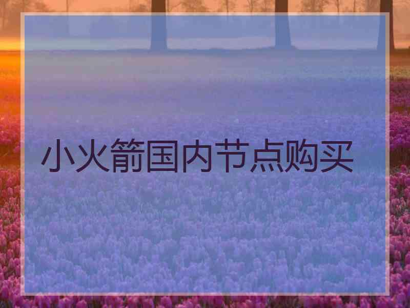 小火箭国内节点购买