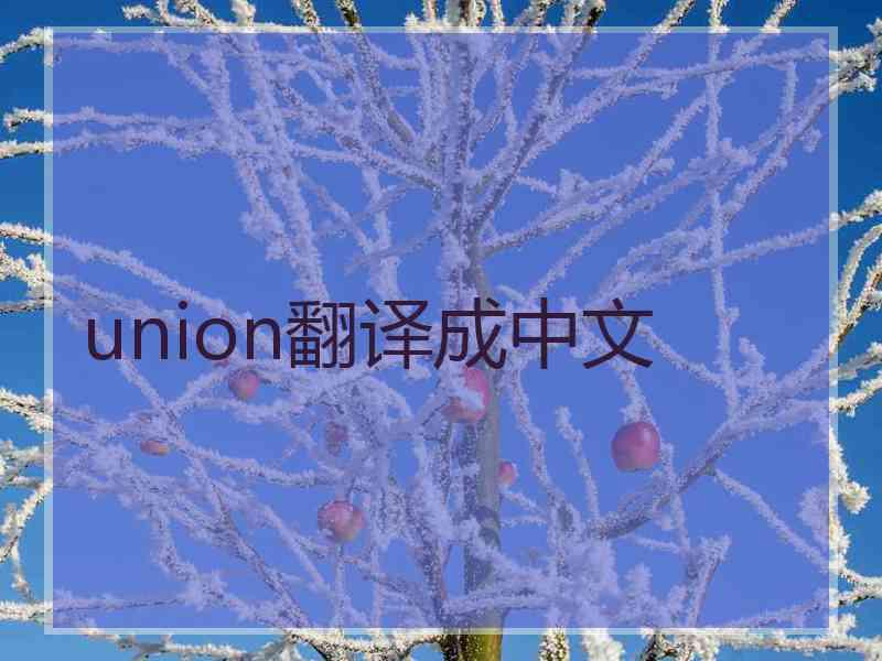 union翻译成中文