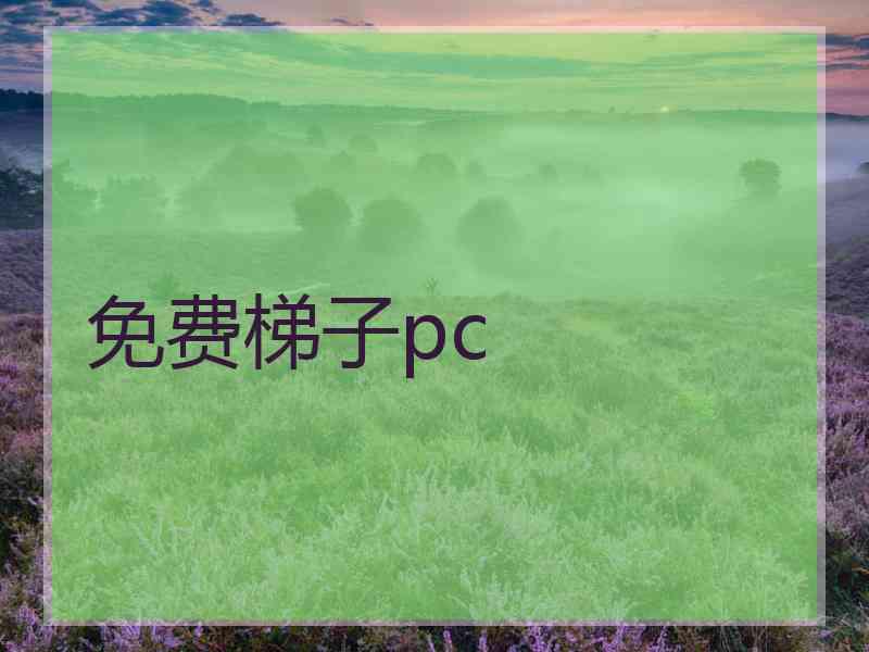 免费梯子pc